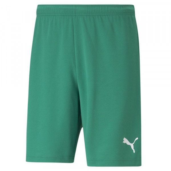 Puma Fußball teamRISE Shorts Herren grün weiß