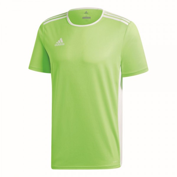 Adidas Entrada 18 Fußball Match Trikot Herren Teamtrikot kurzarm hellgrün weiß