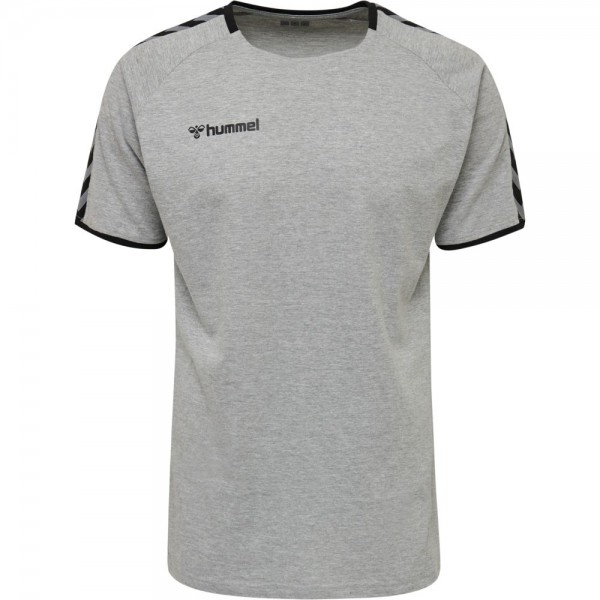Hummel Authentic Trainings T-Shirt Herren grau