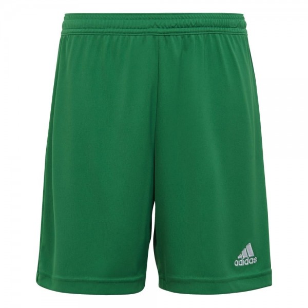 Adidas Entrada 22 Shorts Kinder grün weiß