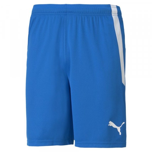Puma Fußball teamLIGA Shorts Herren blau weiß