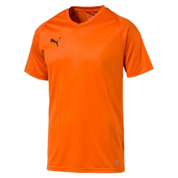 Puma Liga Core Herren Fussball Trikot kurzarm Shirt Männer orange
