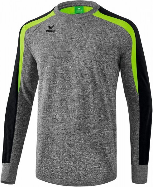 Erima Fußball Handball Liga 2.0 Sweatshirt Herren Sportpullover grau schwarz grün