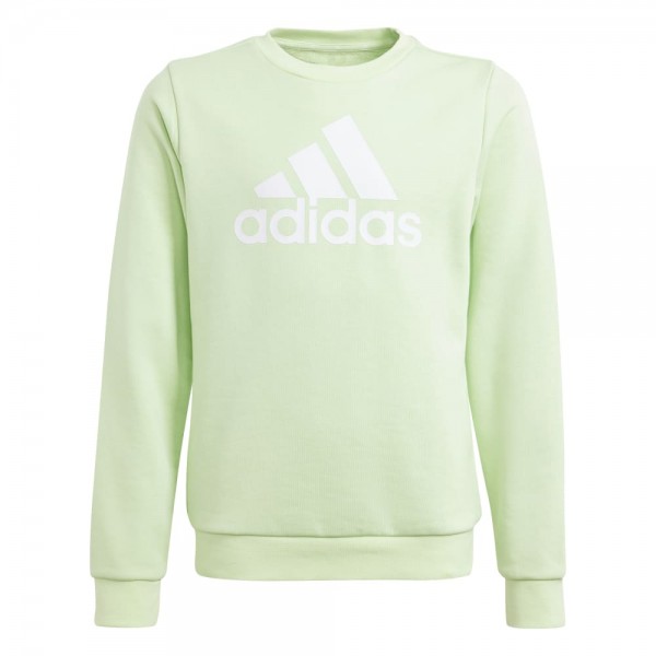 Adidas Essentials Big Logo Cotton Sweatshirt Mädchen grün spark weiß