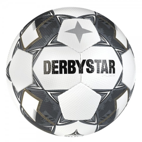 Derbystar Brillant TT v24 Trainingsball weiß silber Gr 5