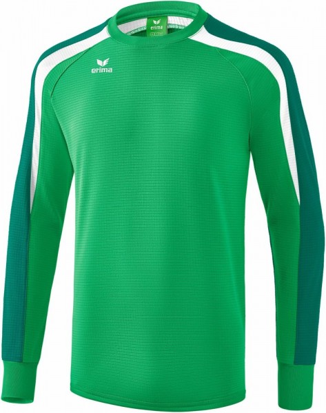 Erima Fußball Handball Liga 2.0 Sweatshirt Herren Sportpullover grün weiß
