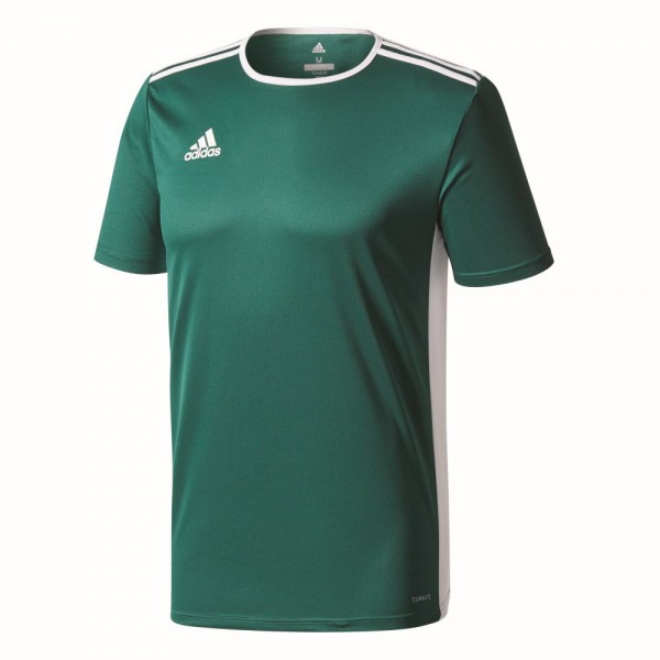 Adidas Entrada 18 Fußball Match Trikot Herren Teamtrikot kurzarm grün weiß