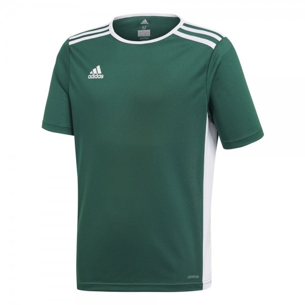 Adidas Fußball Entrada 18 Match Trikot Kurzarmshirt Kinder Teamtrikot grün weiß