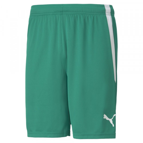 Puma Fußball teamLIGA Shorts Herren grün weiß