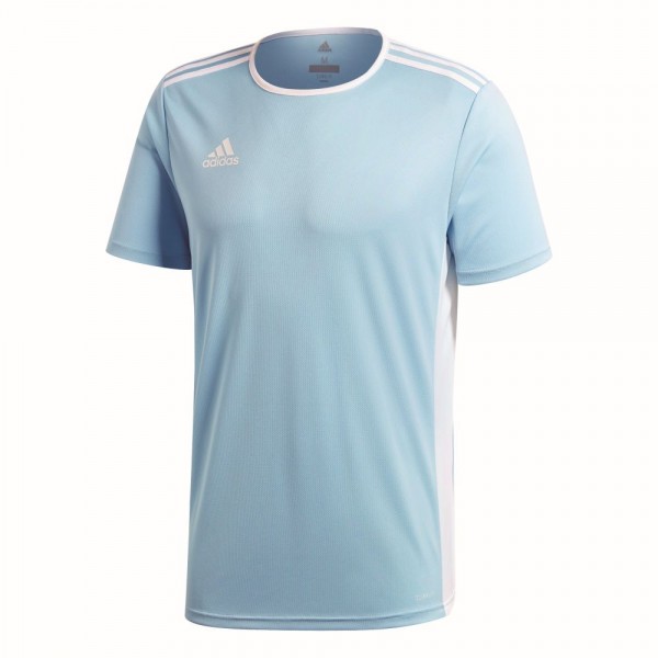 Adidas Entrada 18 Fußball Match Trikot Herren Teamtrikot kurzarm hellblau weiß